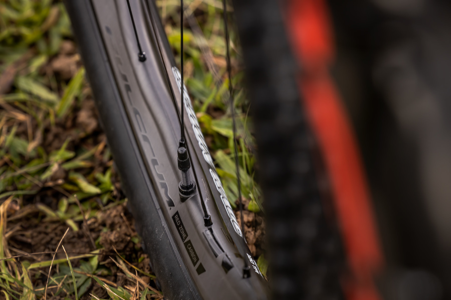 Fulcrum Red Zone Carbon mountain bike