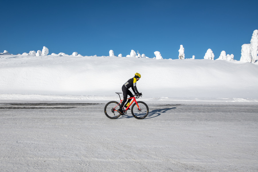 Artic World Tour bike