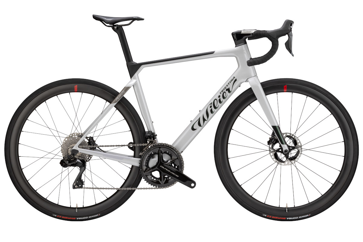 Wilier Triestina Filante Hybrid Shimano