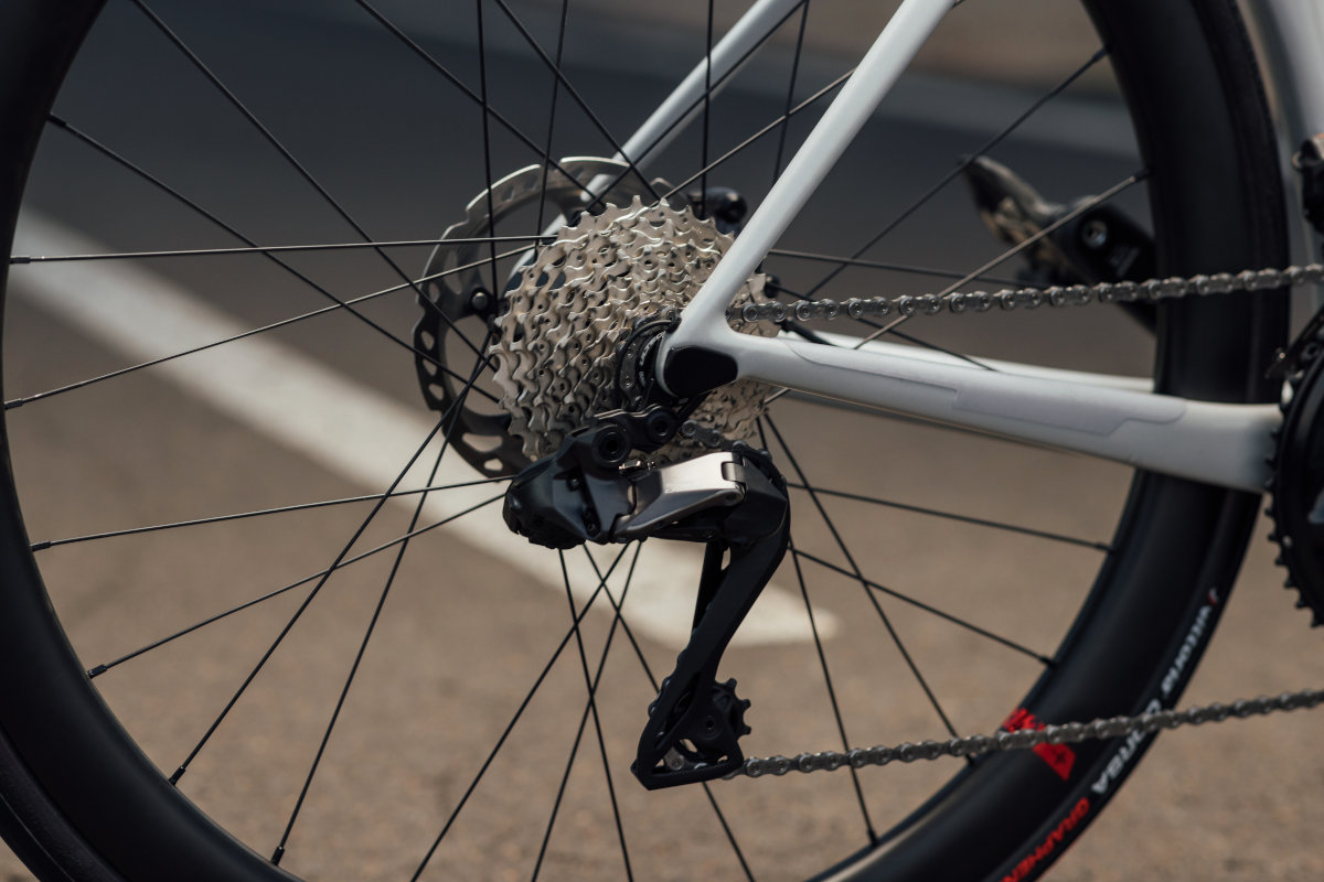 Wilier Triestina Filante Hybrid groupset