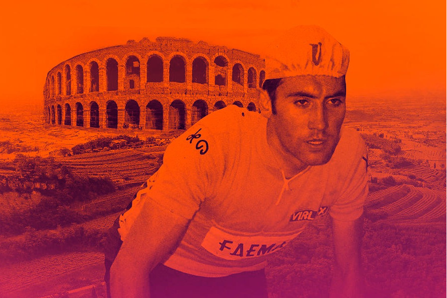 Alé La Merckx 2022