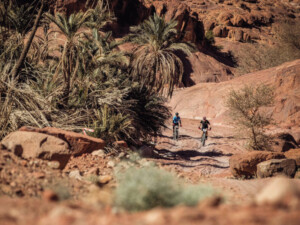 Titan Desert Arabia Saudí