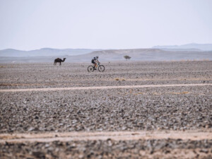 Titan Desert Morocco 2023