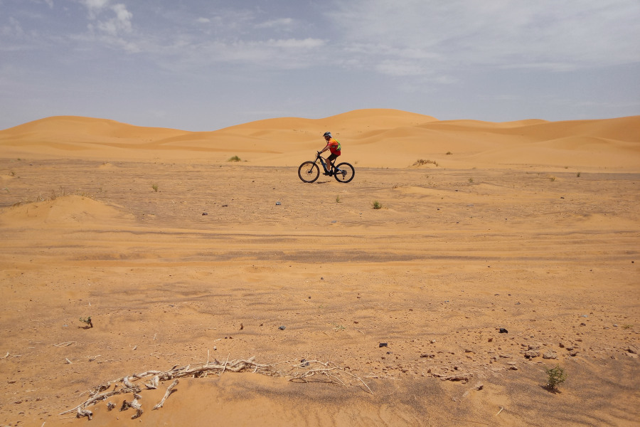 Titan Ebike 2022 desert