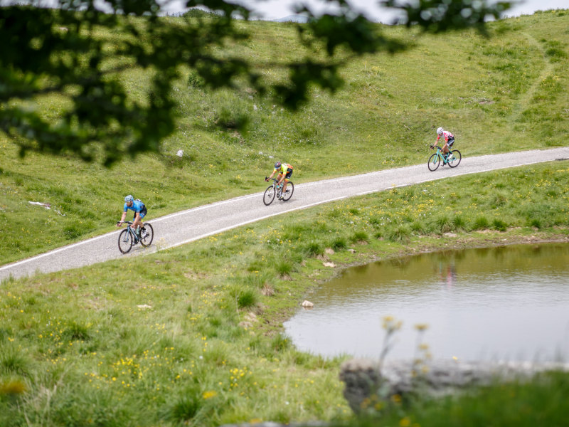 Ale La Merckx 2022 hills