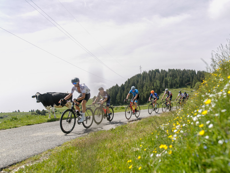 Ale La Merckx 2022 montaña