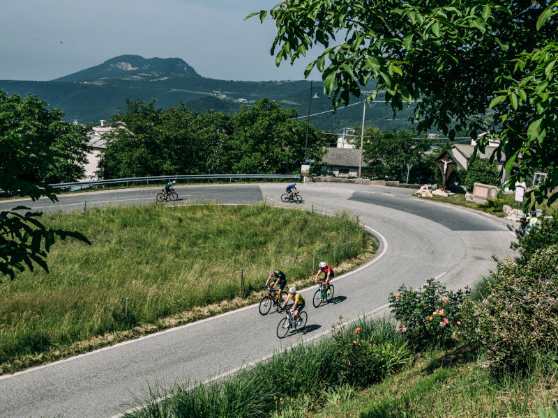 Ale La Merckx 2022 road cycling