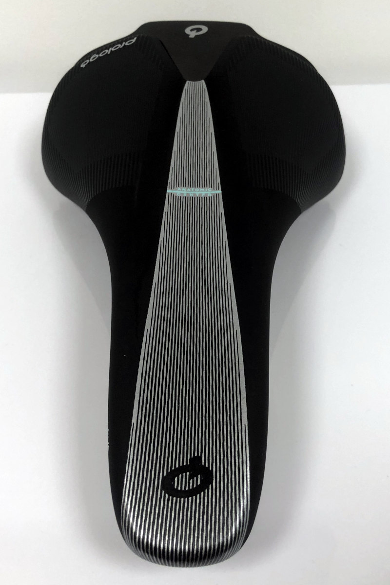 Prologo Scratch Eva 2022