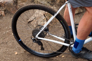 Ritchey WCS Zeta GX wheels