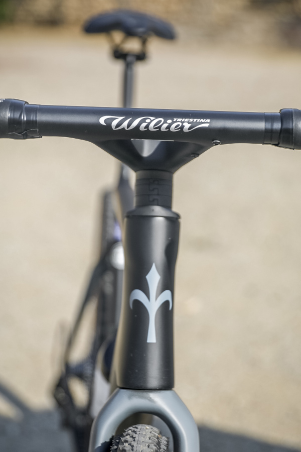 Wilier Rave SLR carbon disc