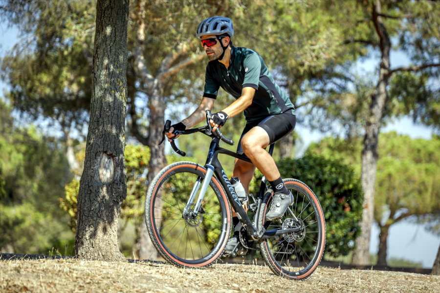 Wilier Rave SLR test