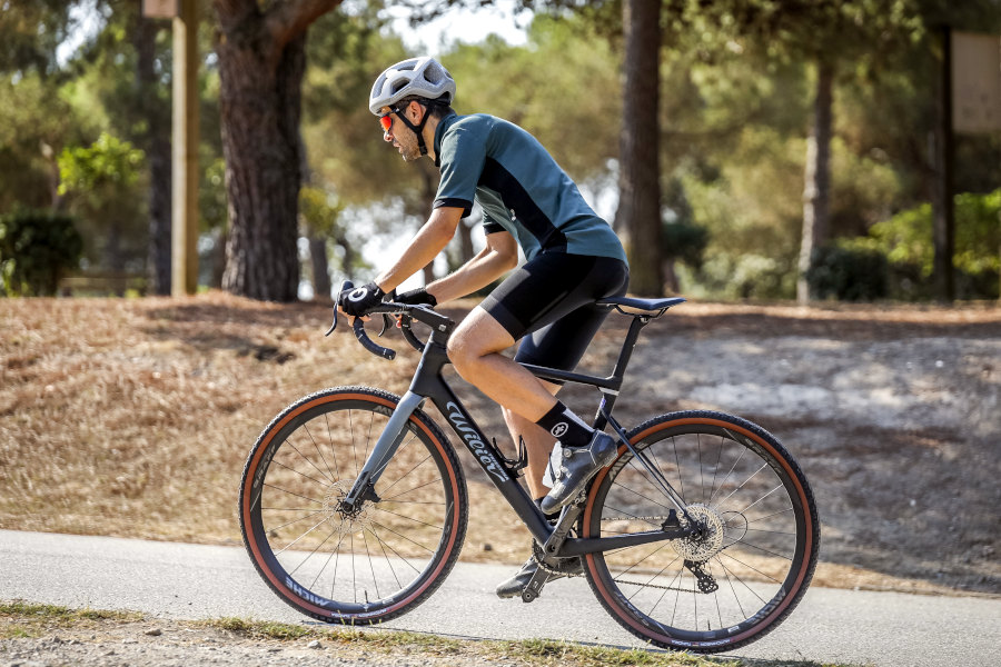 Wilier Triestina Rave SLR test