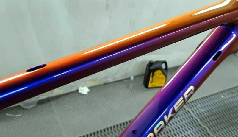 Pintura bicicleta cameleon