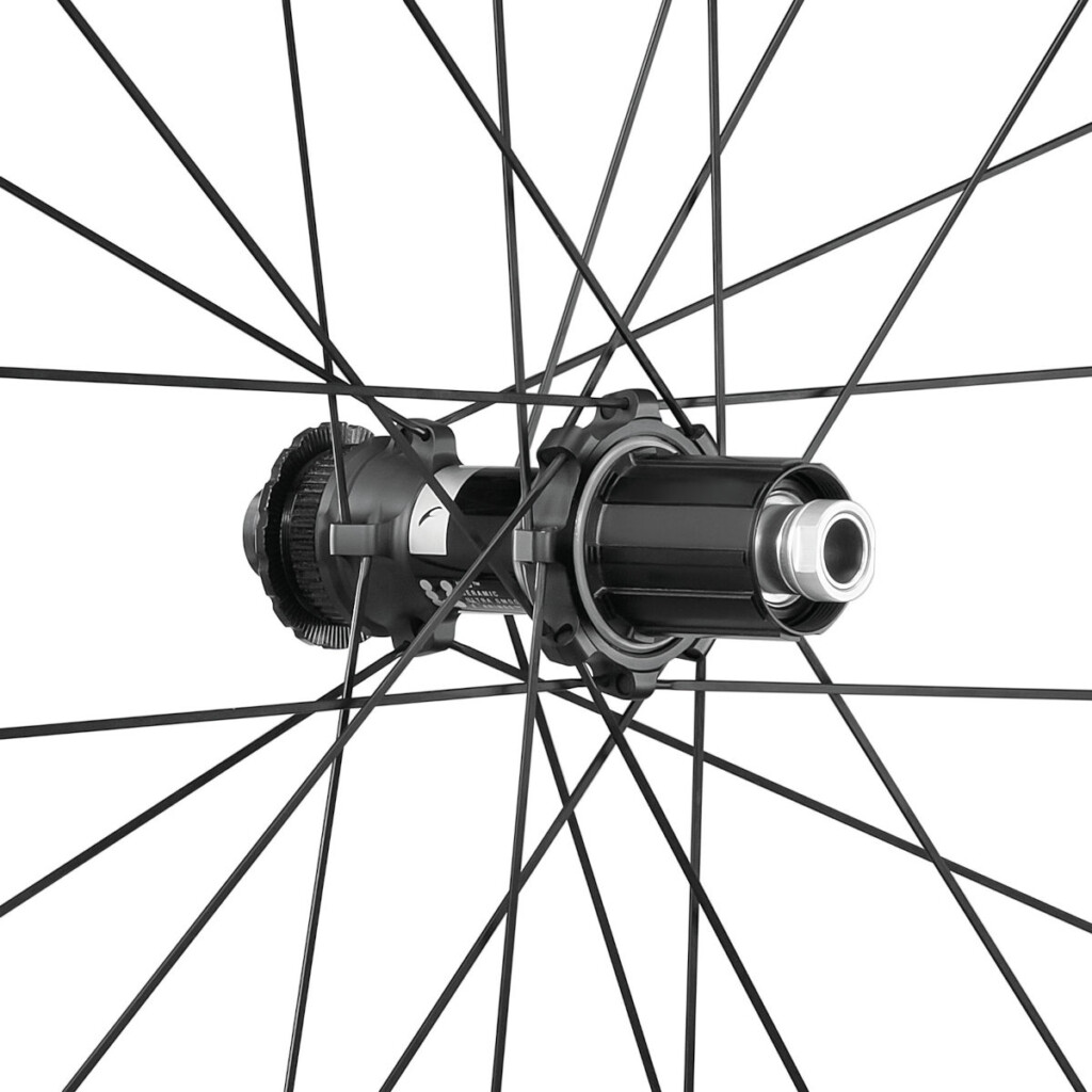 Fulcrum Speed 42 2024 rear hub