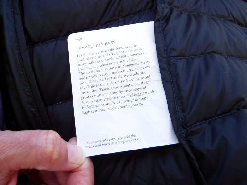 Rapha Explore Down review