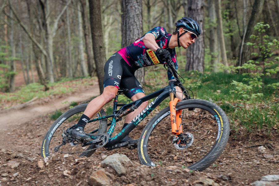 Wilier Urta Max SLR 2023