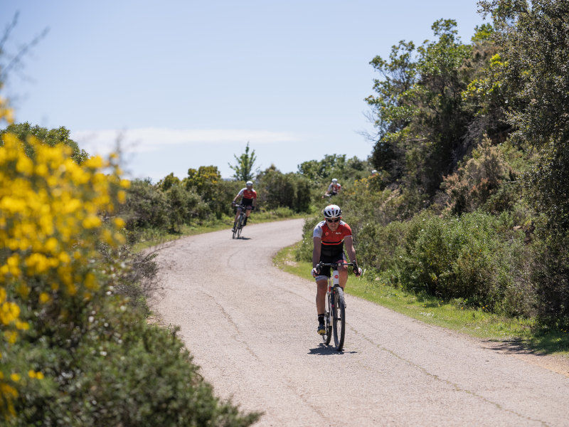 Lucky Explorer Experience ebike