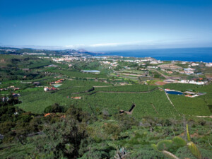 Costa norte Gran Canaria