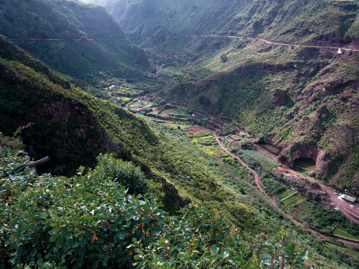 Firgas Barranco de Azuaje