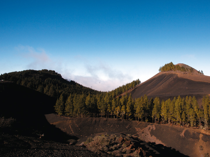 Moya El Montañon Negro