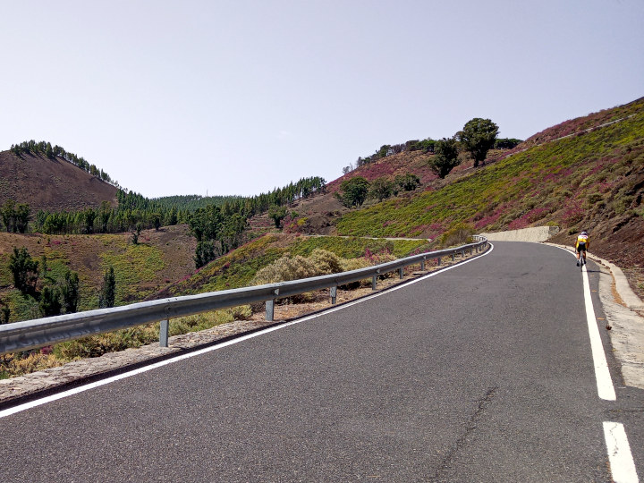 Pinos de Galdar Gran Canaria