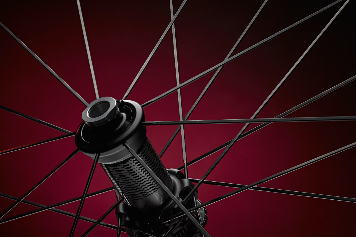 Fulcrum Speed 25+ 2024 strada