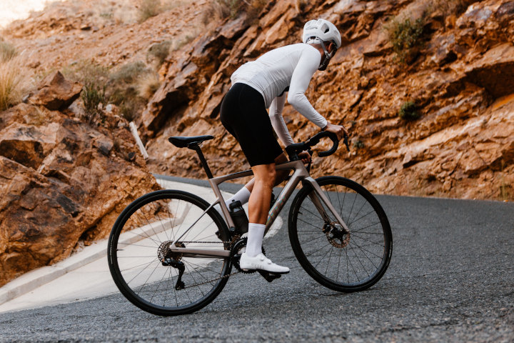Fulcrum Speed 25+ ruedas