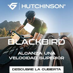 Hutchinson Blackbird