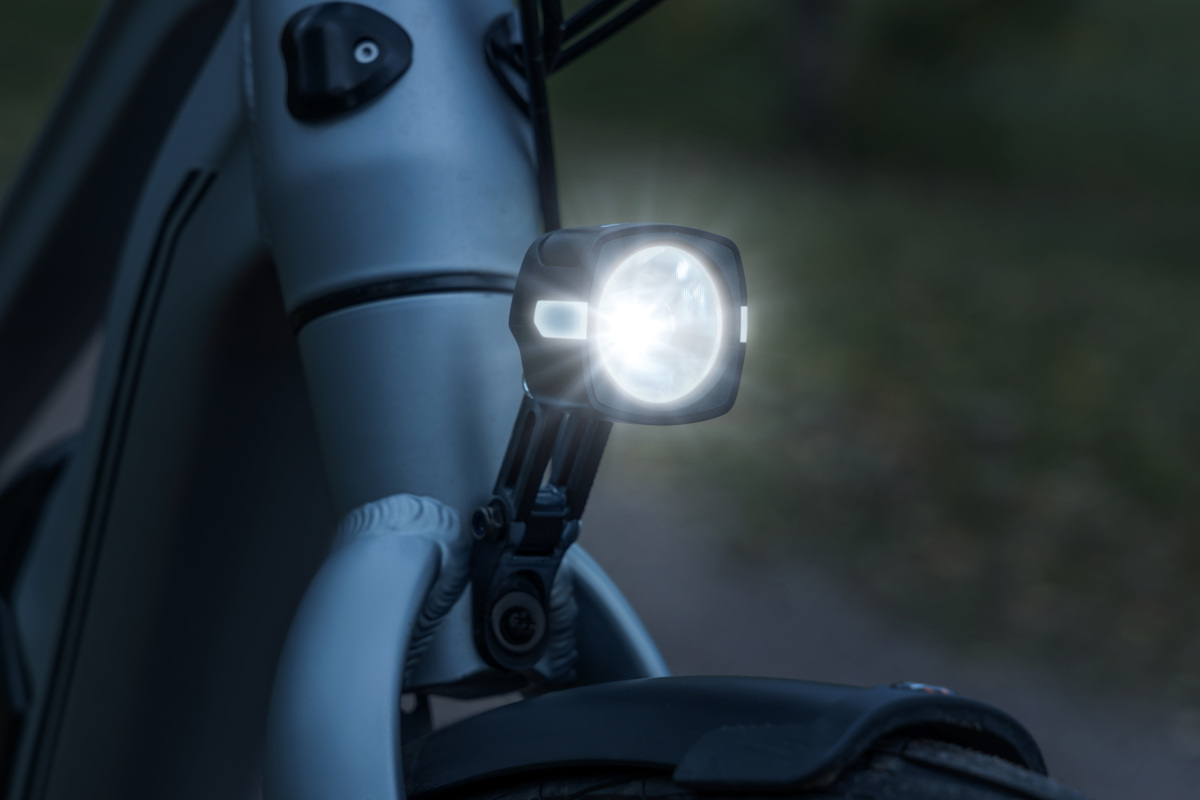 Sigma EOX FL100