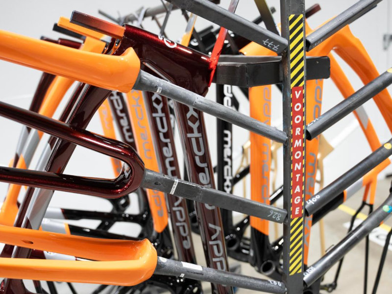 Eddy Merckx custom