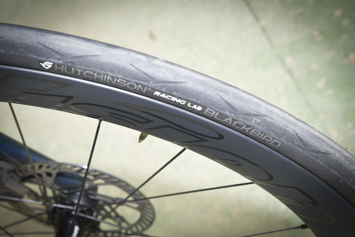 Hutchinson Blackbird test