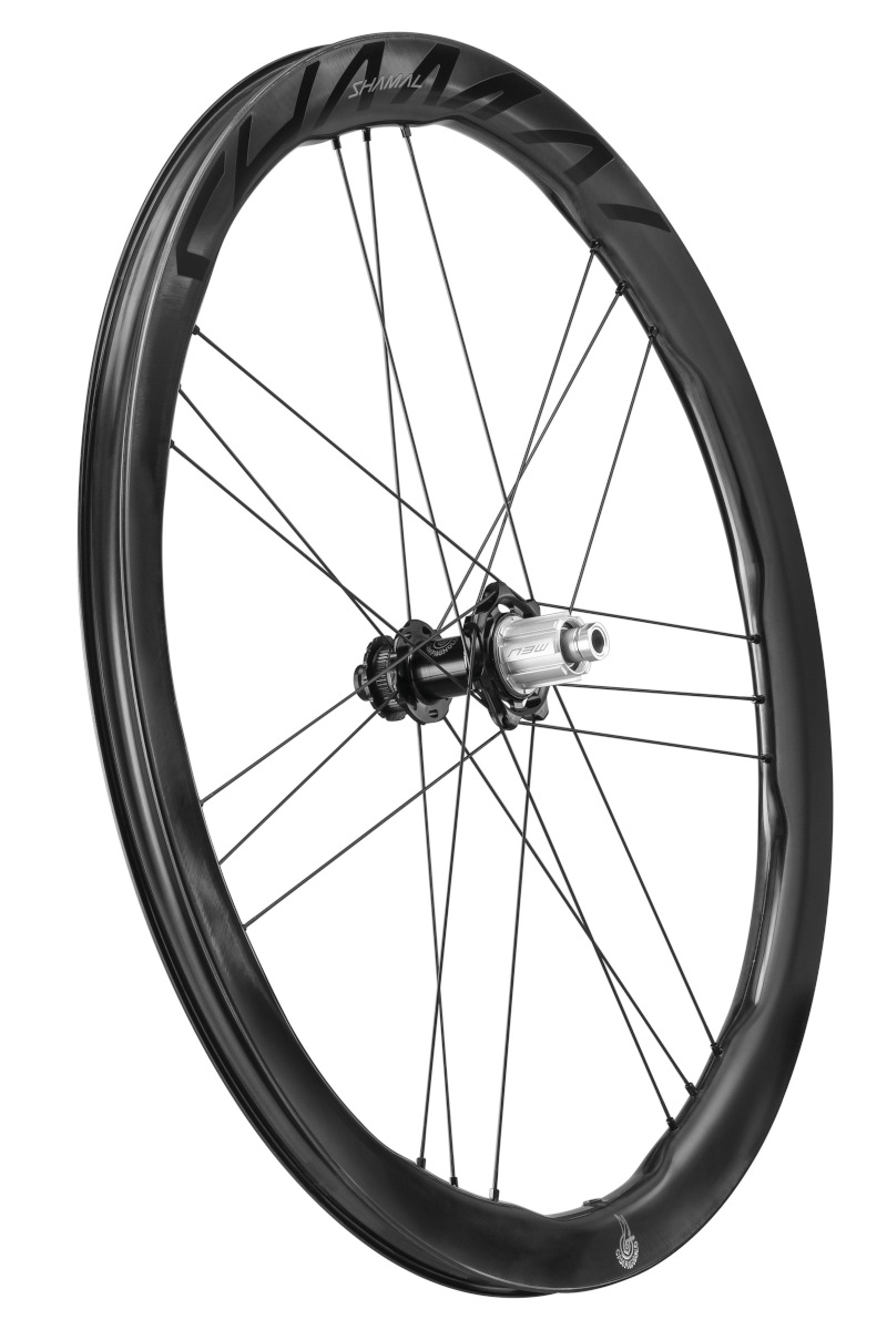 Campagnolo Shamal Dual Profile DB rear