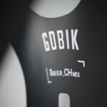 Gobik Lancer man
