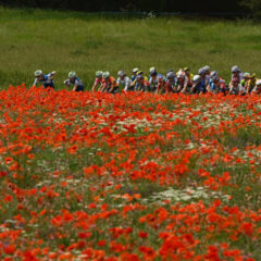 Juegos de ciclismo que tienes que probar en el casino