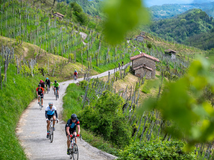 NOVA Eroica gravel
