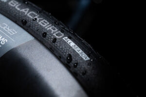 Hutchinson Blackbird All Season neumatico