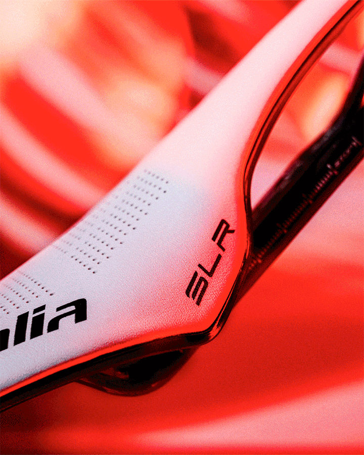Selle Italia White Range SLR