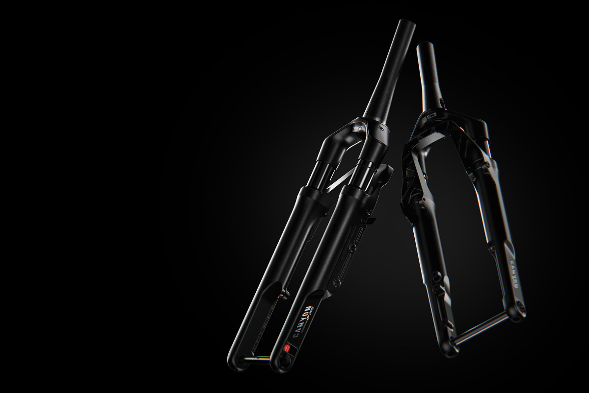 DT Swiss F 132 ONE gravel fork 1