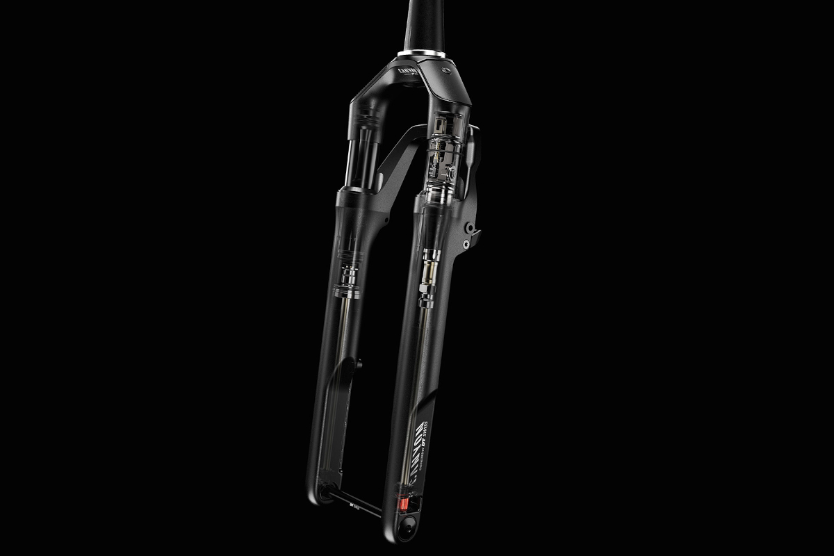 DT Swiss F 132 ONE gravel fork 2