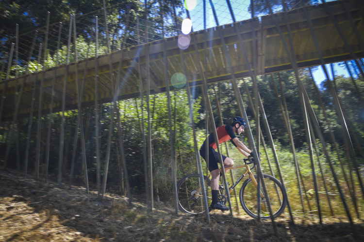 Eddy Merckx Corsa Strasbourg cuadro acero