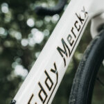Eddy Merckx Mendrisio Eddy 80 retro