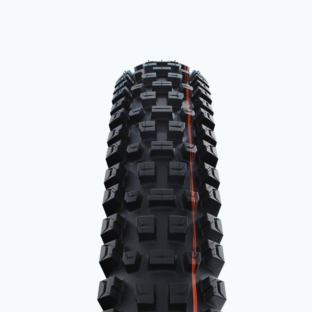 Schwalbe Albert tire