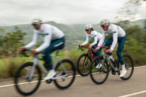 Gobik Custom Works Team Store kits