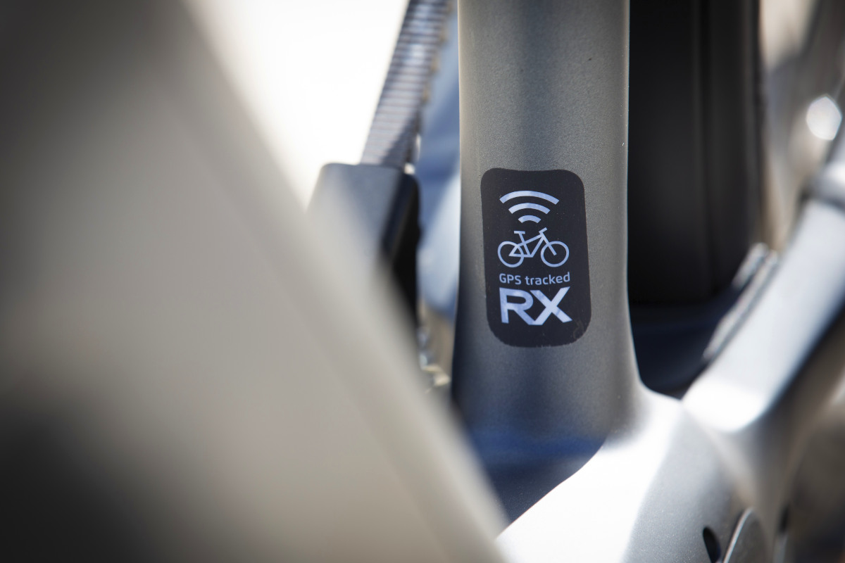 Riese Muller Charger5 RX Chip