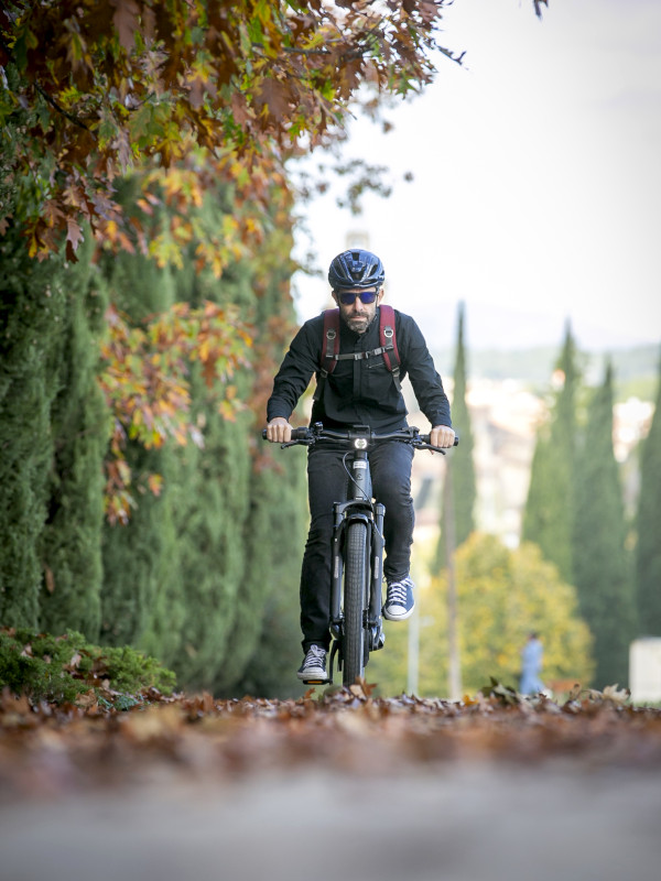 Riese Muller Charger5 vario ebike