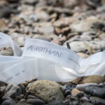 Schwalbe Aerothan test