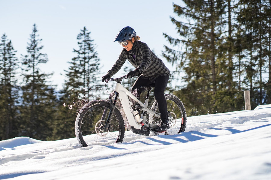 ebike winter