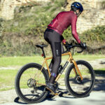 Gobik Grit test