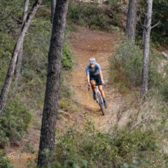 Neumáticos gravel Schwalbe G-One 2026: RS, R & RX