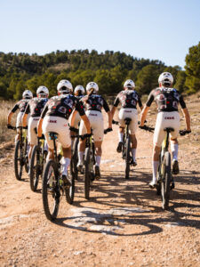 Gobik Factory Team 2026 kit